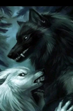 FlippedチャットAI – Lorenzo und Yang shen とチャット