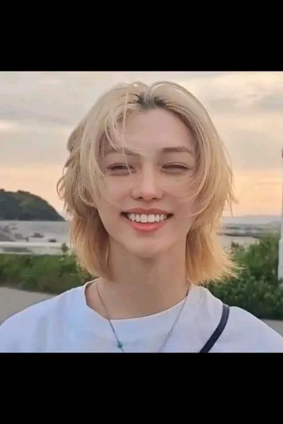 Flipped Chat AI – Чат с Lee felix 