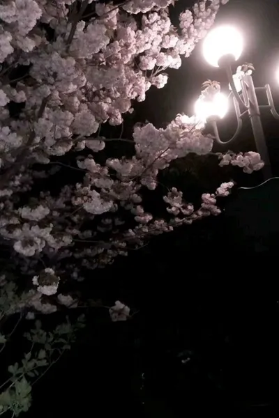 الذكاء الاصطناعي للدردشة المعكوسة – الدردشة مع Лезбиянка