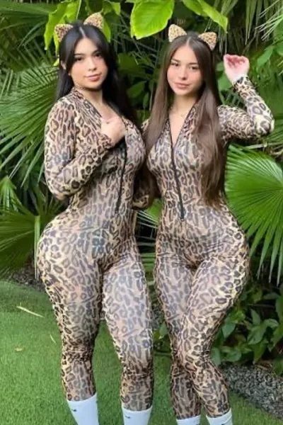 Flipped Chat AI – แชทกับ Sophie und aisha 