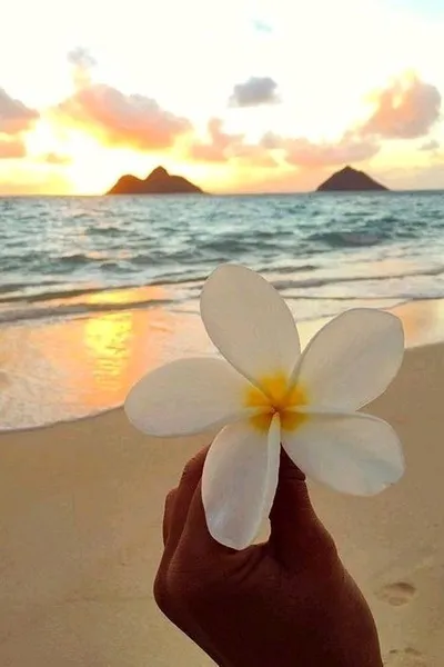 Flipped Chat AI – 與 Straykids  聊天