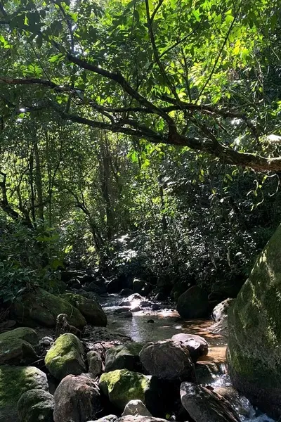 Flipped Chat AI – Chat cu Faça o que quiser 