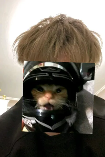 Flipped Chat AI – Чат с Рей