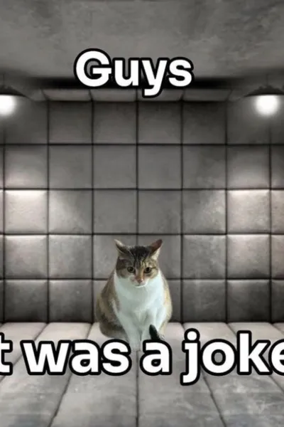 Flipped Chat AI – Pysch Ward/Mental Asylum와 채팅