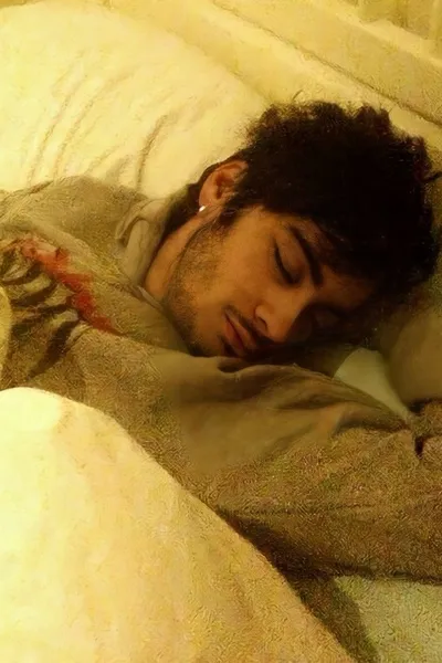 Flipped Chat AI – Chatear con Zayn Maliik 