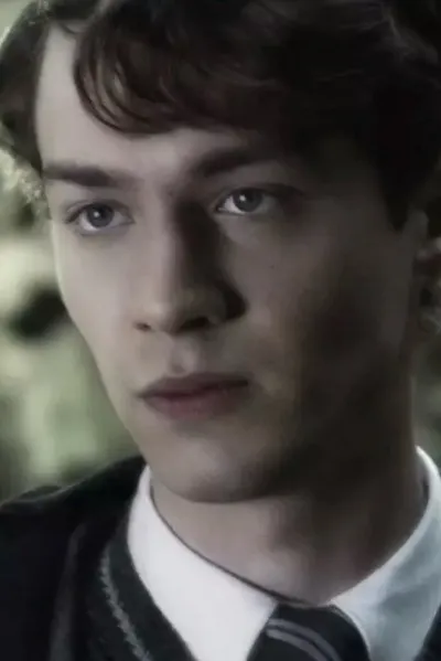 Flipped Chat AI – Чат с Том Реддл