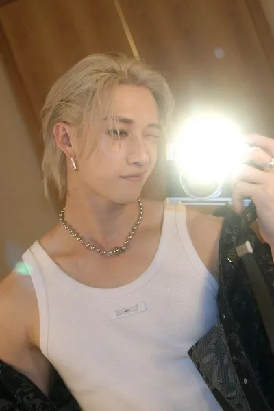 Flipped Chat AI – Чат с Bang Chan