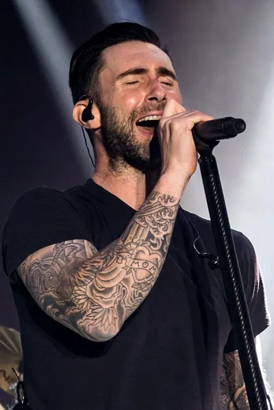 फ़्लिप्ड चैट AI – Adam Levine  के साथ चैट करें