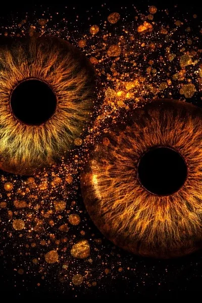 Flipped Chat AI – Чат с Кира училка по биологии 