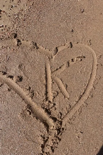 Flipped Chat AI – Чат с Кира подруга 