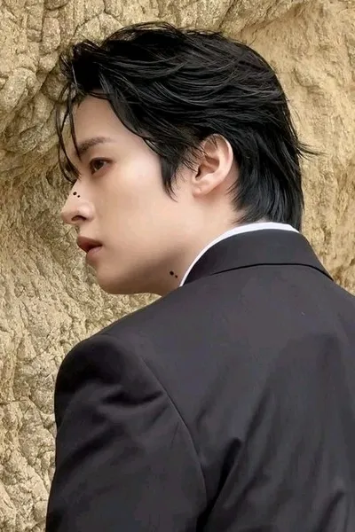 Flipped Chat AI – Чат с Lee Know