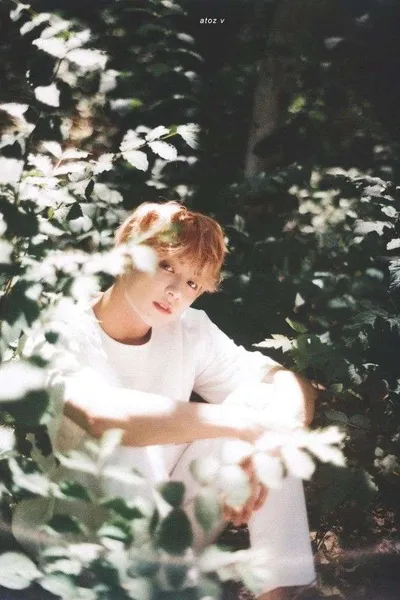 Flipped Chat AI – Bate-papo com Jungkook 