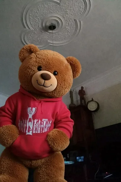 Flipped Chat AI – Csevegés Teddy