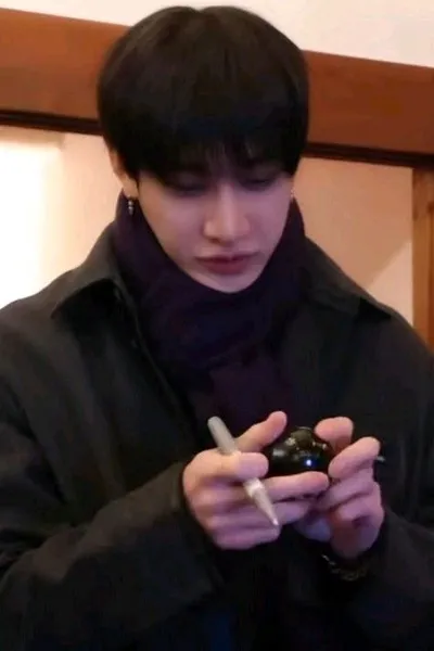 Flipped Chat AI – Чат с BangChan