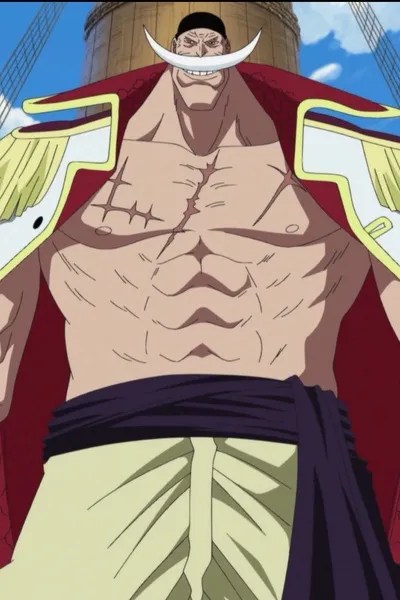 Whitebeard Pirates fone