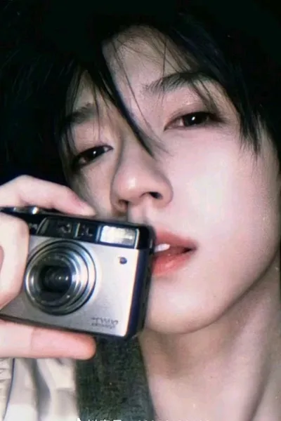 He Junlin background