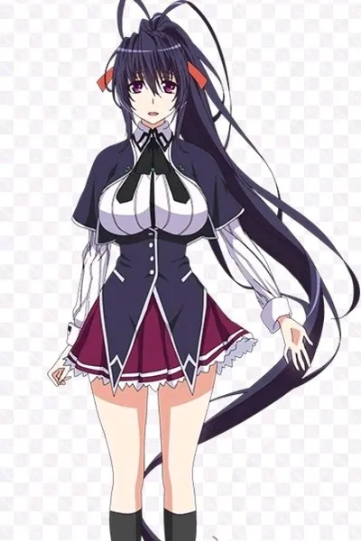akeno himejima background