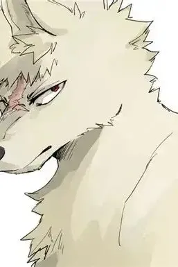 bakugo bakgrund